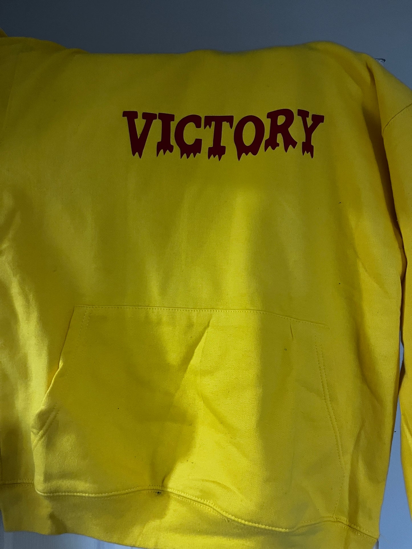 SCARY VICTORY